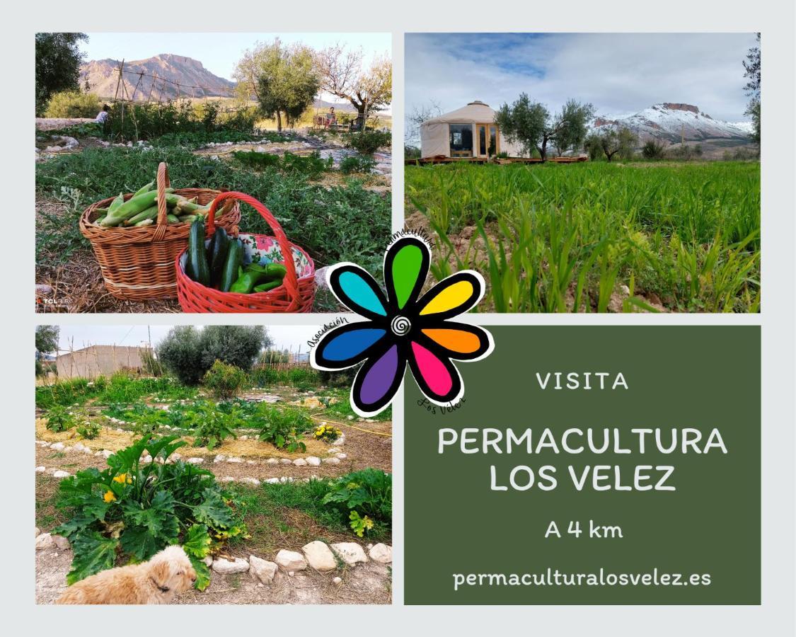 La Casa Viva. Alojamiento Responsable Y Sostenible. Vélez Blanco Екстериор снимка